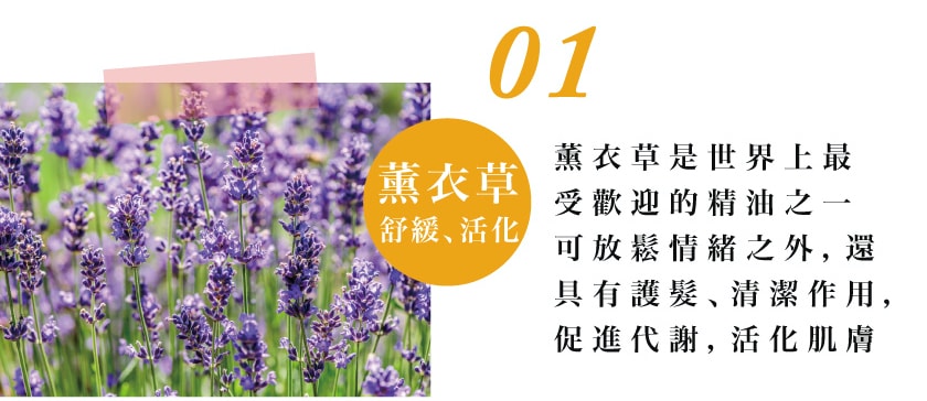 20250906-mey5d