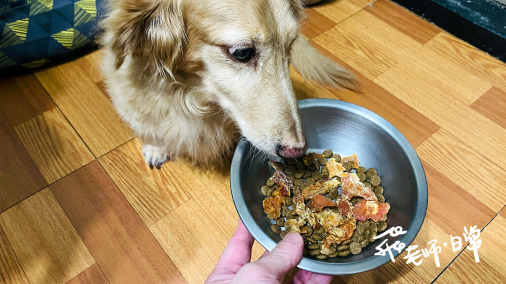 凱薩肉乾評價,凱薩狗狗零食評價,狗零食推薦,狗狗營養點心推薦,狗狗日常點心推薦,挑嘴狗零食推薦,卜蜂雞肉寵物零食,人食用等級寵物零食,狗訓練零食推薦,泰國狗狗零食推薦,凱薩肉乾,狗狗營養點心推薦