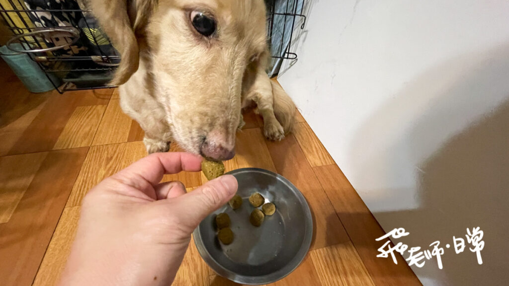 八犬寵物,紐崔斯飼料評價,高適口性無穀飼料推薦,寵物無穀飼料推薦,毛孩飼料怎麼挑,無穀低敏飼料開箱,挑嘴狗飼料,挑嘴貓飼料,處方飼料開箱,紐崔斯犬糧開箱,紐崔斯CARE+飼料評價,老犬推薦飼料,貓泌尿道保養飼料,皮毛保健飼料,口腔保健飼料,腸胃道保健飼料