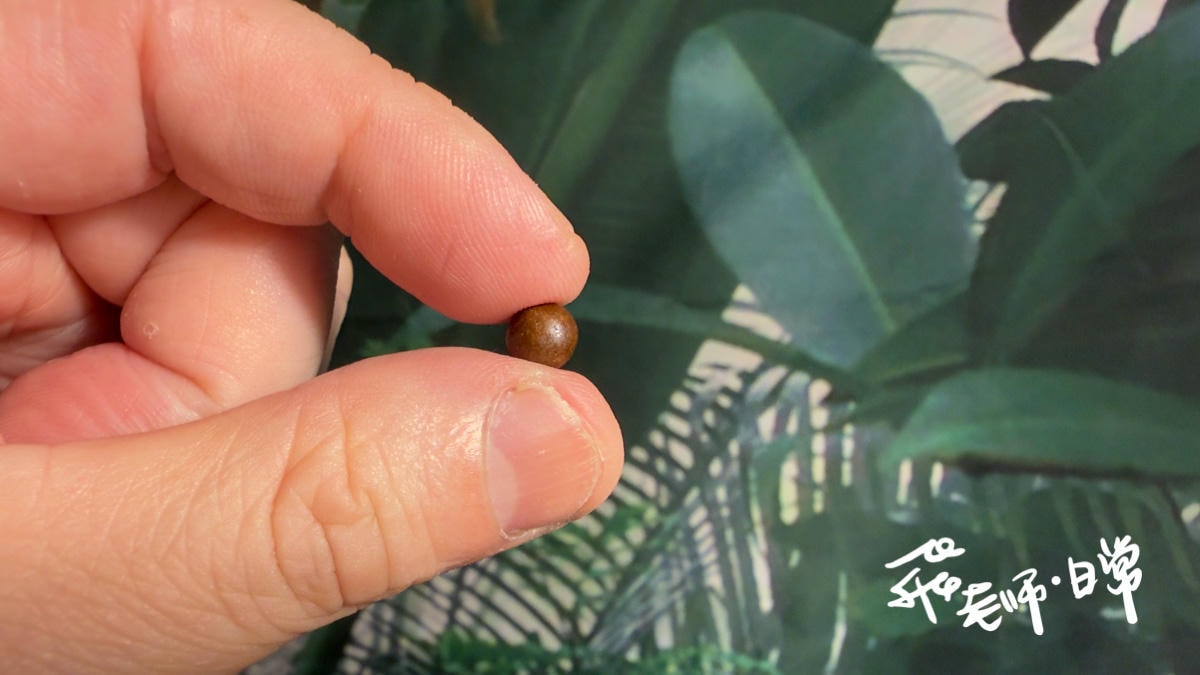 健一 KENICHI-八次郎 日本原裝6600mg黑瑪卡-男人的日常保養對策-重拾自信-時刻展現猛虎氣勢-輕鬆讓你量多濃稠感重-為深夜生活注入滿滿性能量-速攻持續-活力補給-強健體力-提升專注 - 第8張圖 健一Kenichi評價,健一八次郎評價,健一八次郎有效嗎,高濃度瑪卡推薦,日本百年藥廠瑪卡推薦,精力補給保健品推薦,熟齡男性營養補充推薦,夫妻瑪卡推薦,情侶瑪卡推薦,元氣補足瑪卡推薦,維持續航力瑪卡推薦,男性日常瑪卡推薦,特濃特純黑瑪卡,日本井藤藥廠親製,日本原裝進口來台,黑瑪卡6600mg有感超觸